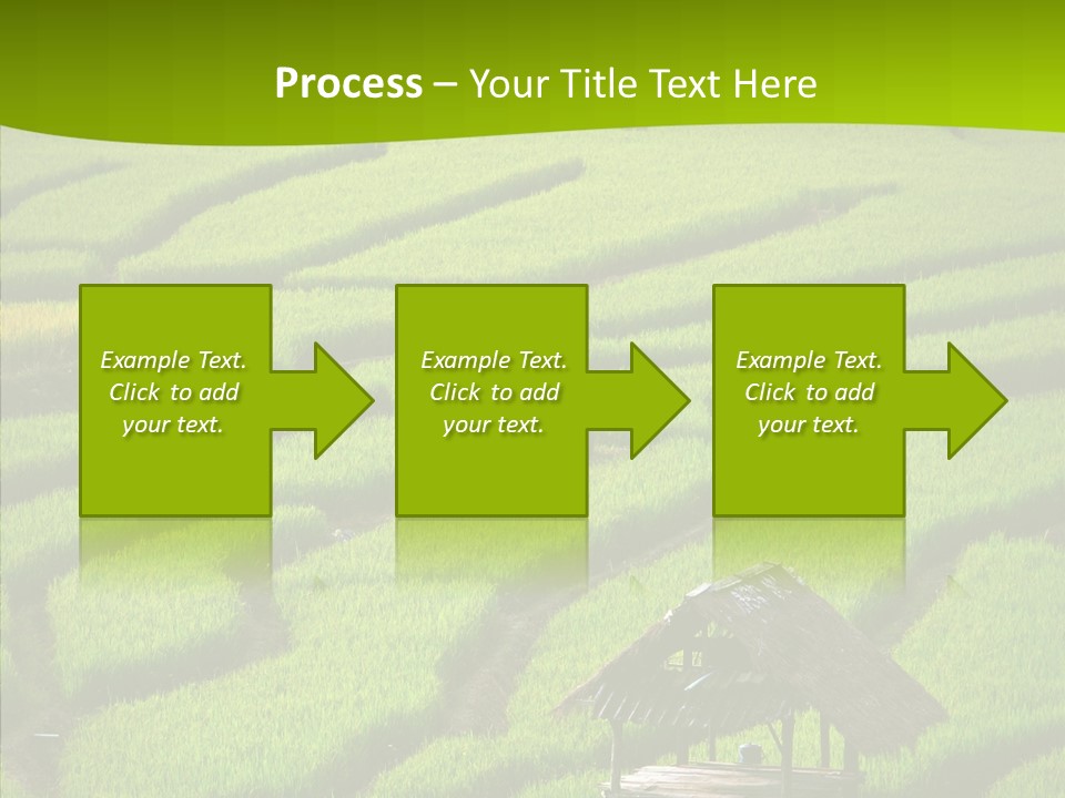 Green Steps Food PowerPoint Template