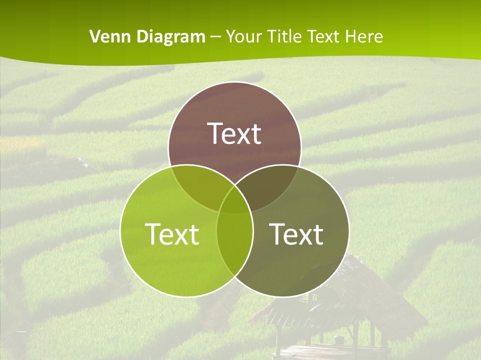 Green Steps Food PowerPoint Template