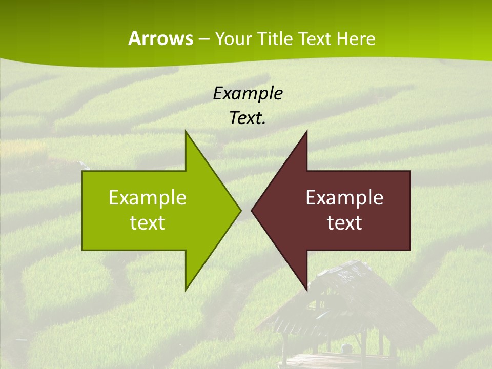 Green Steps Food PowerPoint Template