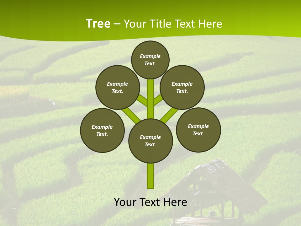 Green Steps Food PowerPoint Template