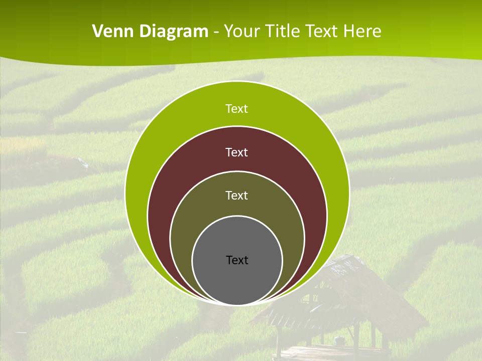 Green Steps Food PowerPoint Template