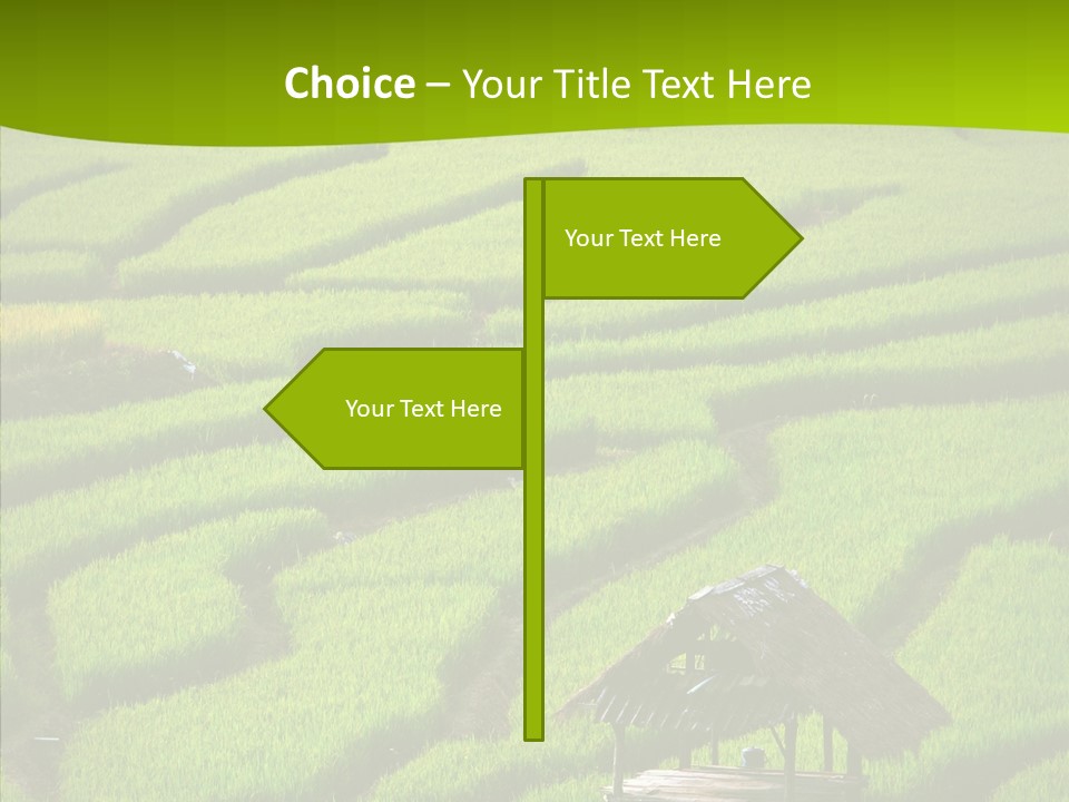 Green Steps Food PowerPoint Template