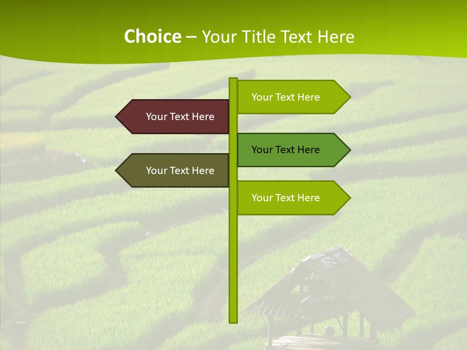 Green Steps Food PowerPoint Template