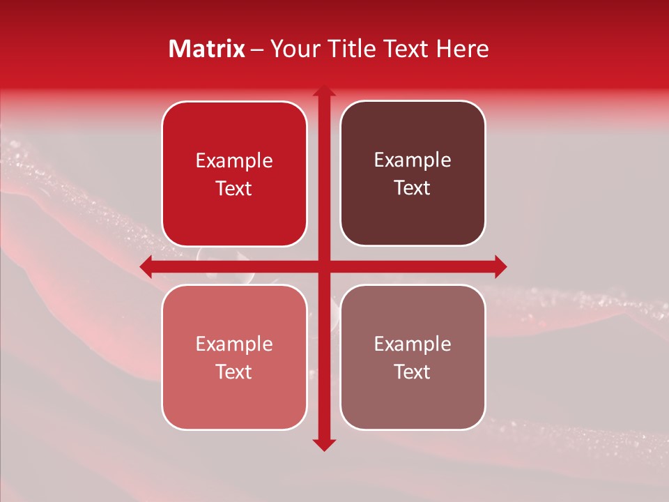 Beauty Dewdrops Red PowerPoint Template