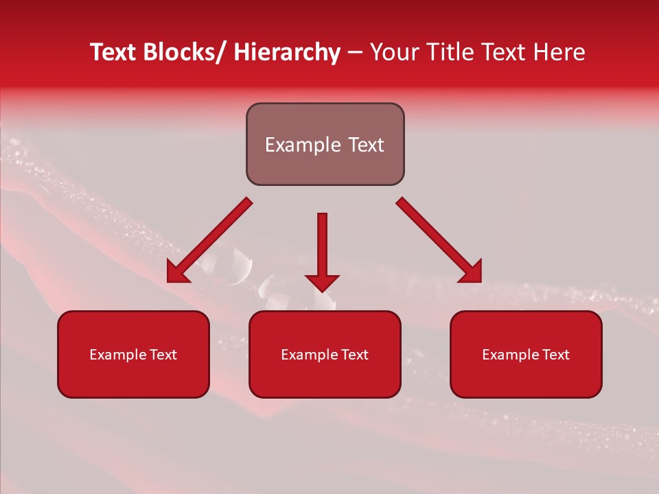 Beauty Dewdrops Red PowerPoint Template