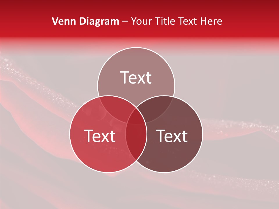 Beauty Dewdrops Red PowerPoint Template