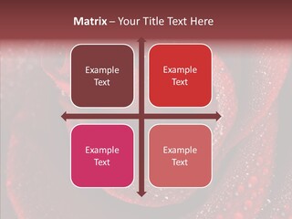 Fresh Wet Liquid PowerPoint Template