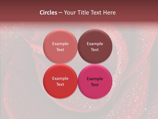 Fresh Wet Liquid PowerPoint Template