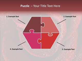 Fresh Wet Liquid PowerPoint Template