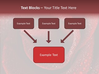 Fresh Wet Liquid PowerPoint Template