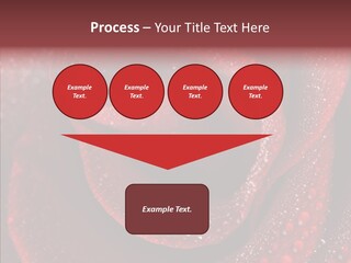 Fresh Wet Liquid PowerPoint Template