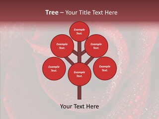 Fresh Wet Liquid PowerPoint Template