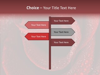 Fresh Wet Liquid PowerPoint Template