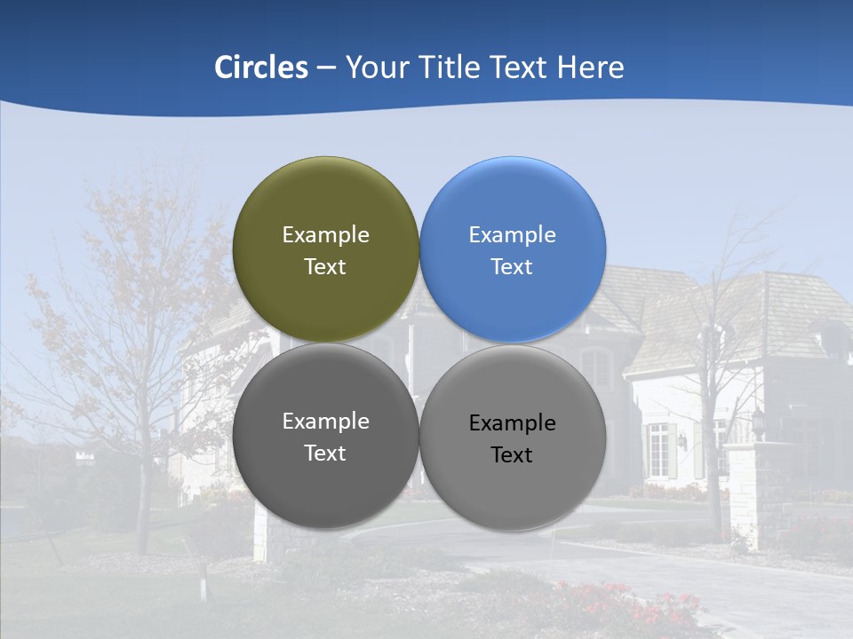 Profe Ional Management Board PowerPoint Template