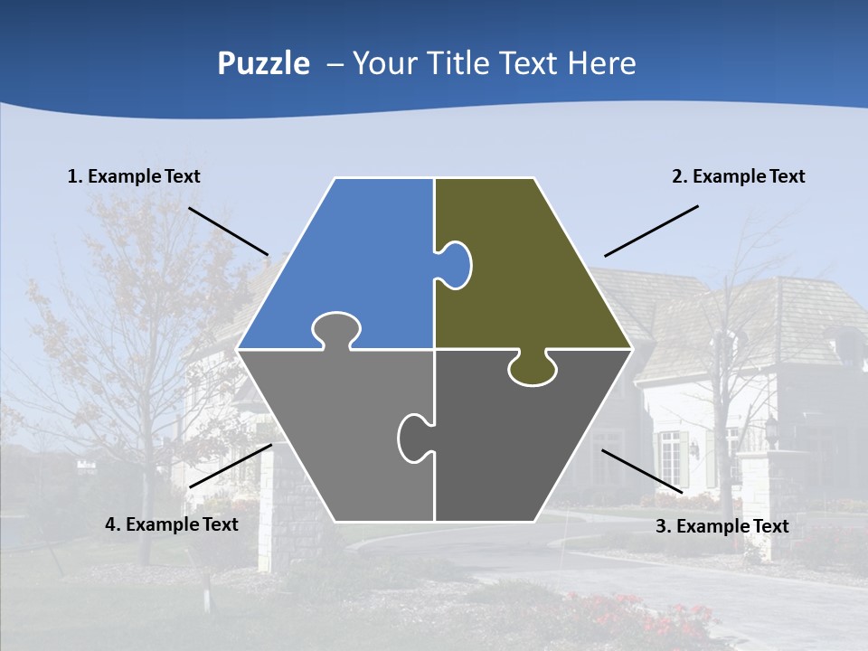 Profe Ional Management Board PowerPoint Template