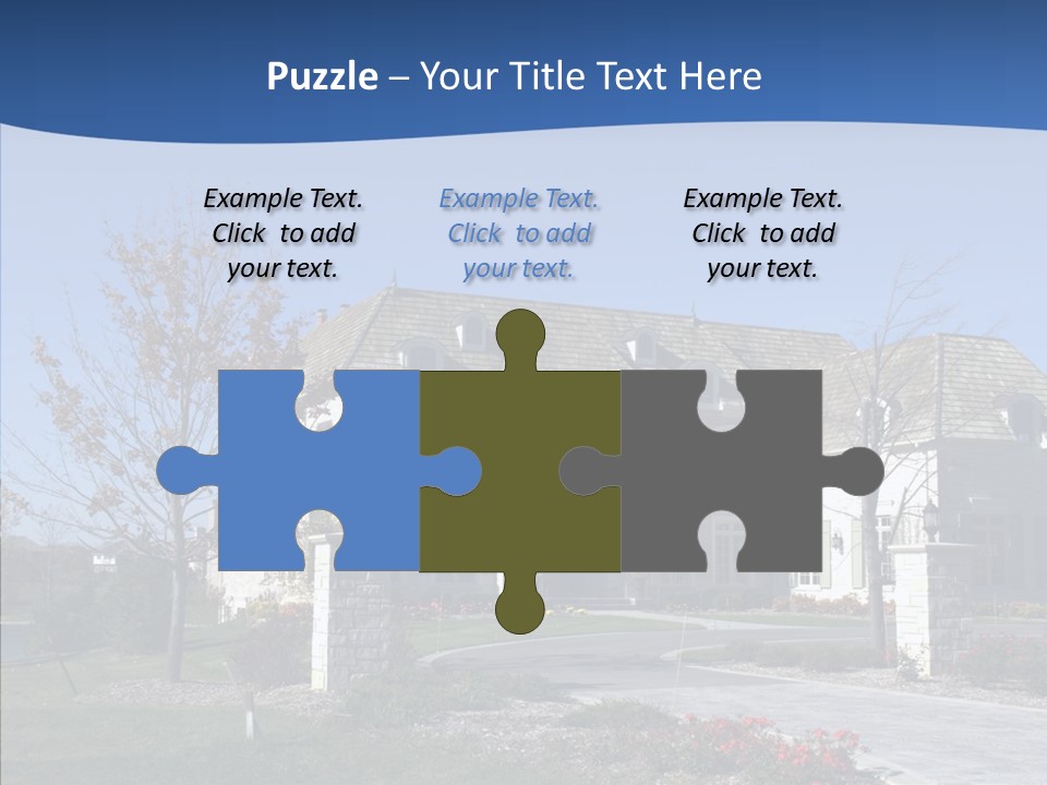 Profe Ional Management Board PowerPoint Template