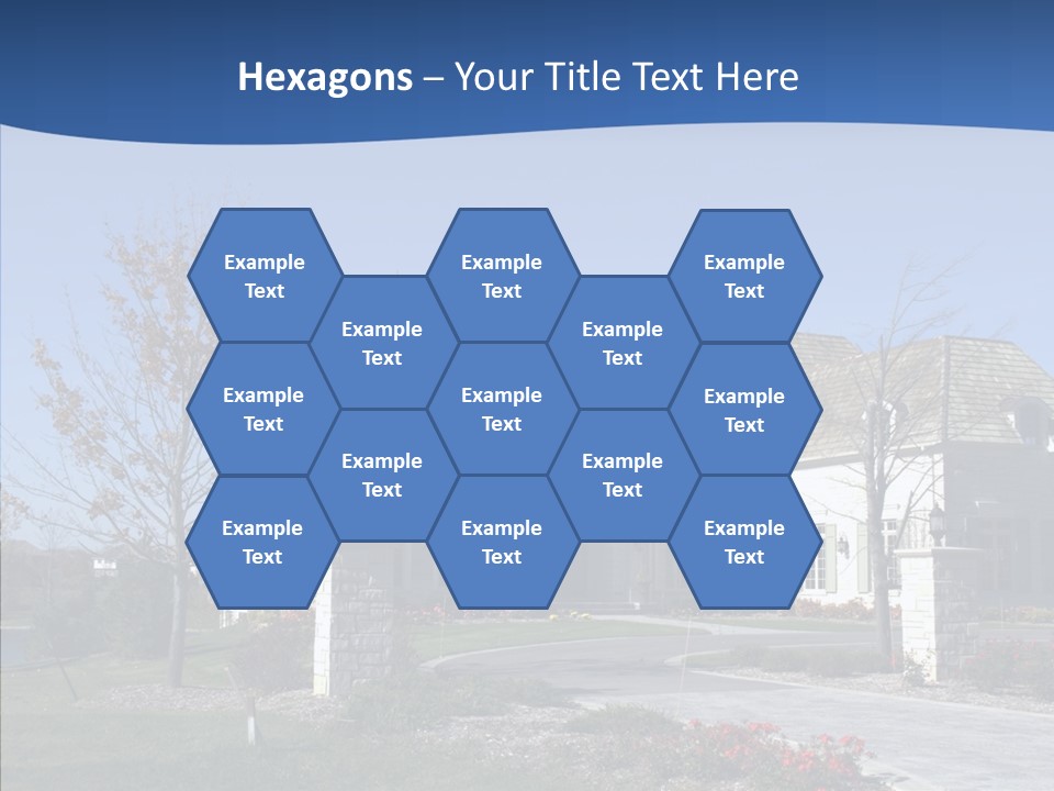 Profe Ional Management Board PowerPoint Template