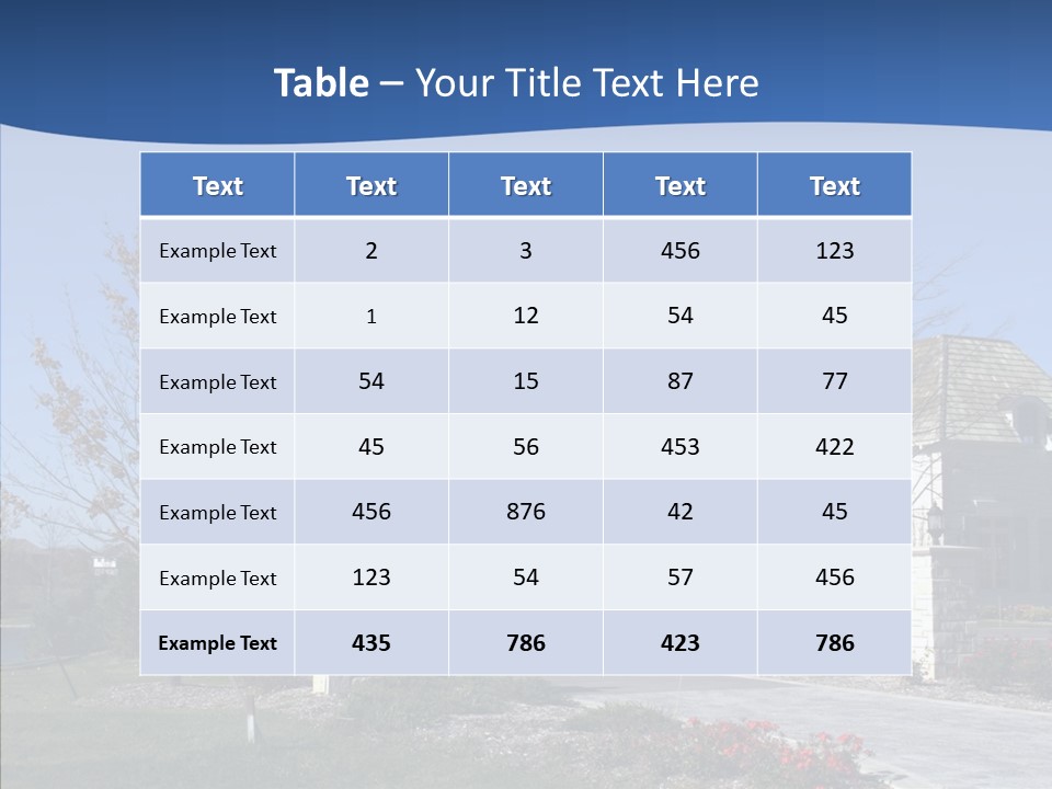 Profe Ional Management Board PowerPoint Template