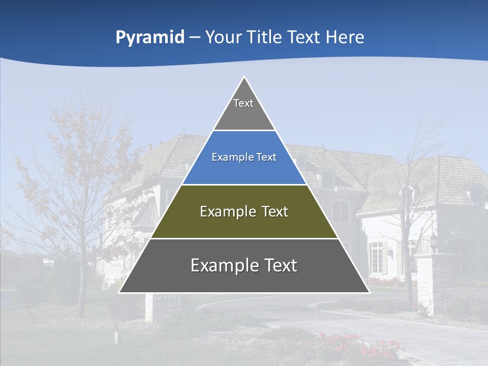 Profe Ional Management Board PowerPoint Template