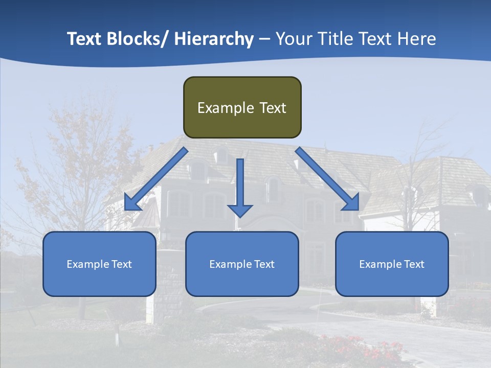 Profe Ional Management Board PowerPoint Template