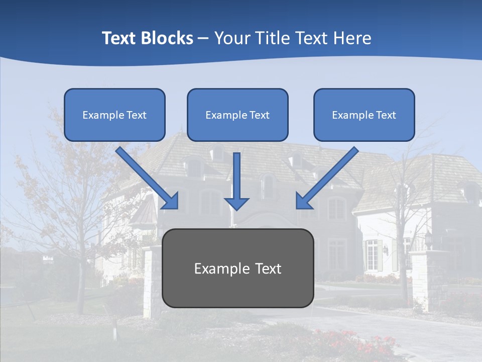 Profe Ional Management Board PowerPoint Template