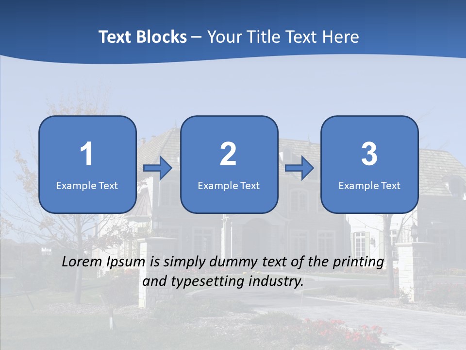 Profe Ional Management Board PowerPoint Template