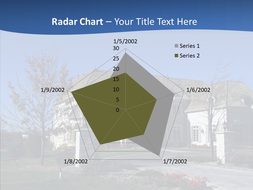 Profe Ional Management Board PowerPoint Template