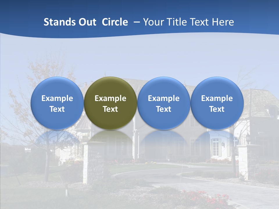 Profe Ional Management Board PowerPoint Template