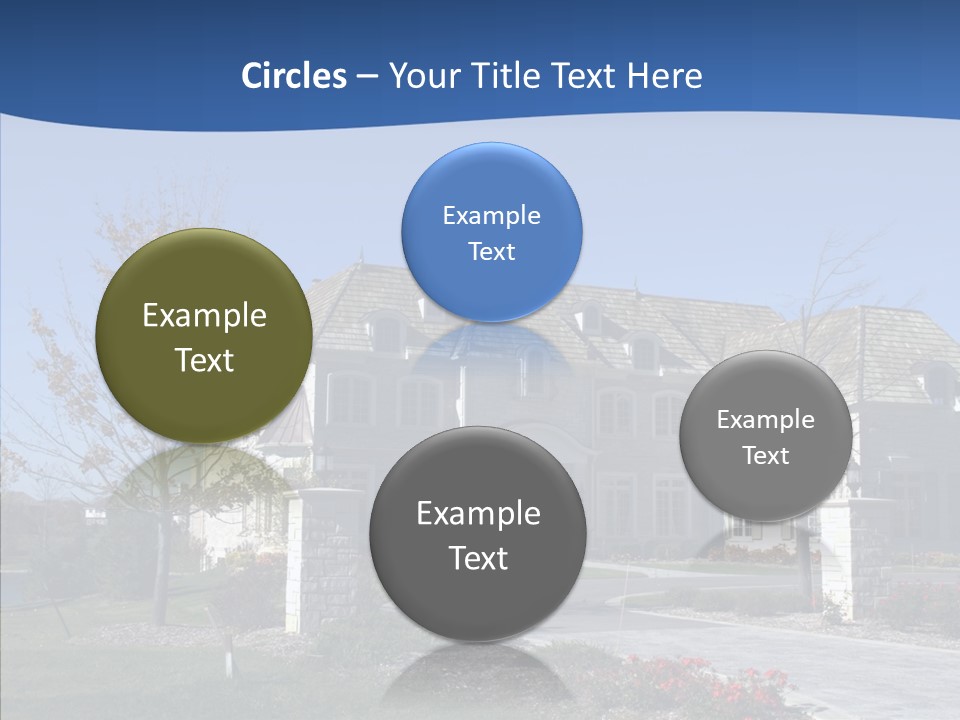 Profe Ional Management Board PowerPoint Template