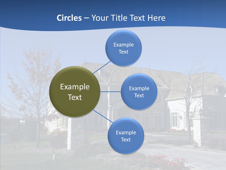 Profe Ional Management Board PowerPoint Template