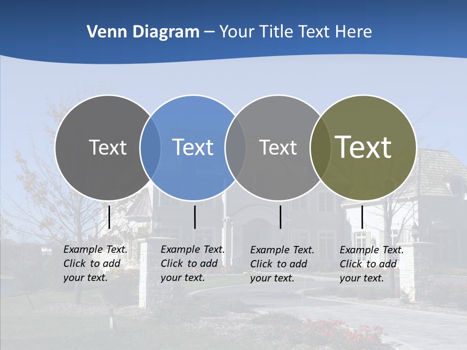 Profe Ional Management Board PowerPoint Template