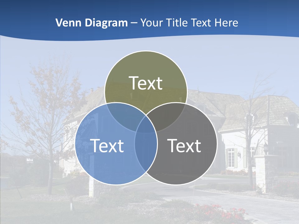 Profe Ional Management Board PowerPoint Template