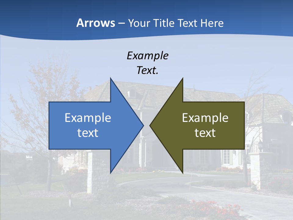 Profe Ional Management Board PowerPoint Template