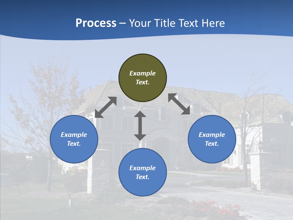 Profe Ional Management Board PowerPoint Template