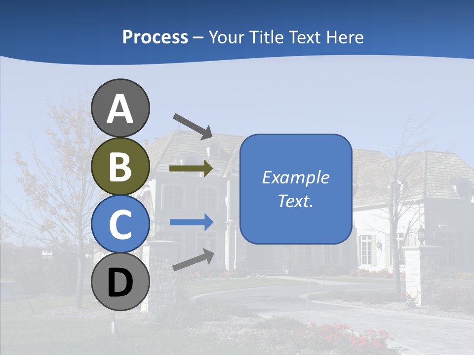 Profe Ional Management Board PowerPoint Template