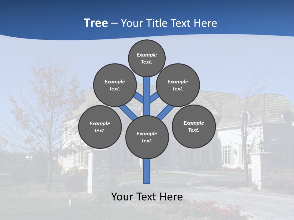 Profe Ional Management Board PowerPoint Template