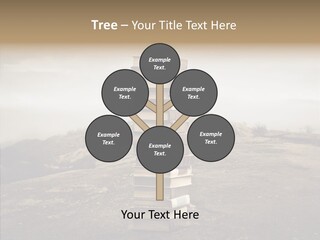 Book Pile Wisdom PowerPoint Template