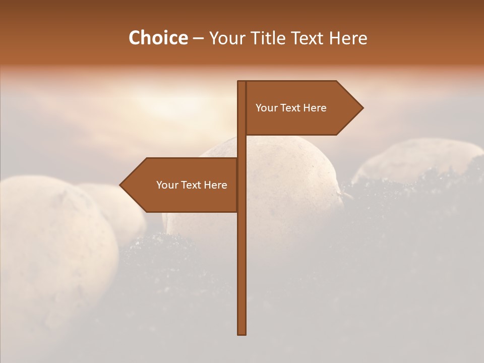 Team Management Communication PowerPoint Template
