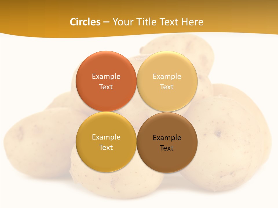 Golden Tuber Agriculture PowerPoint Template