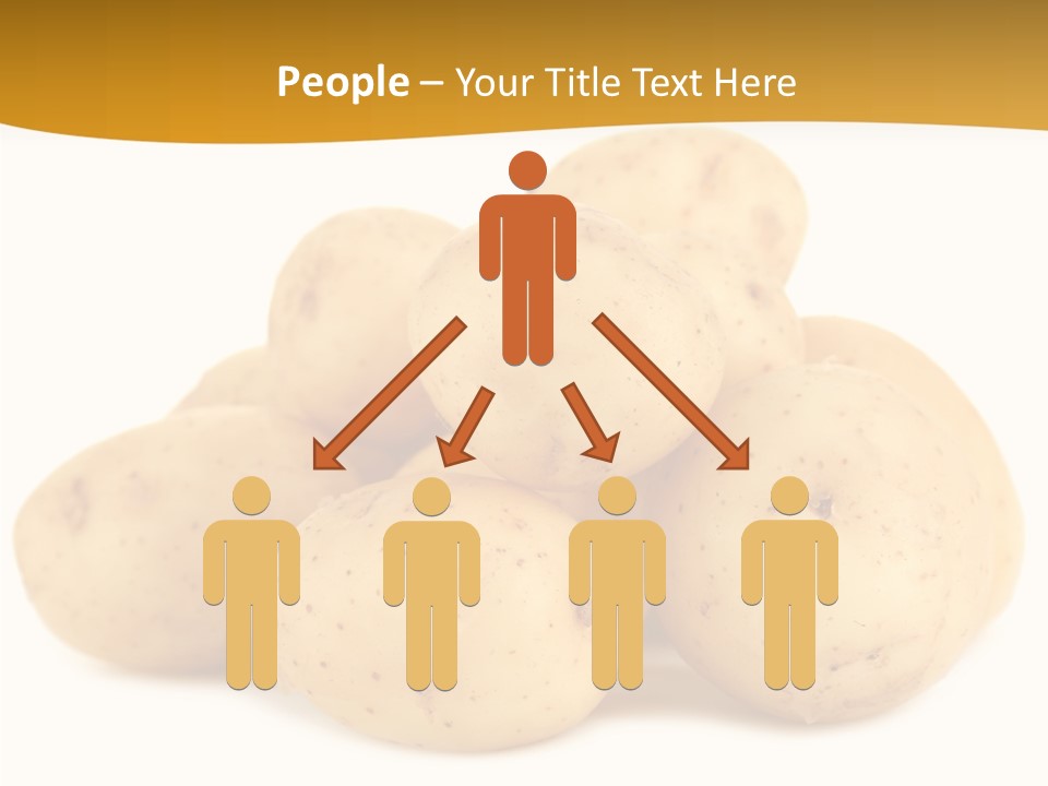 Golden Tuber Agriculture PowerPoint Template
