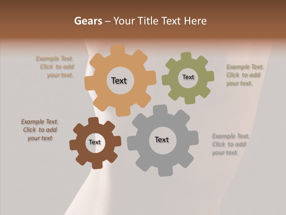 Woman Skin Anatomy PowerPoint Template