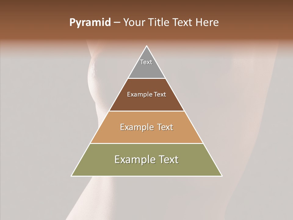 Woman Skin Anatomy PowerPoint Template