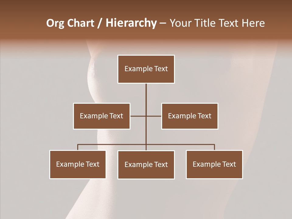 Woman Skin Anatomy PowerPoint Template