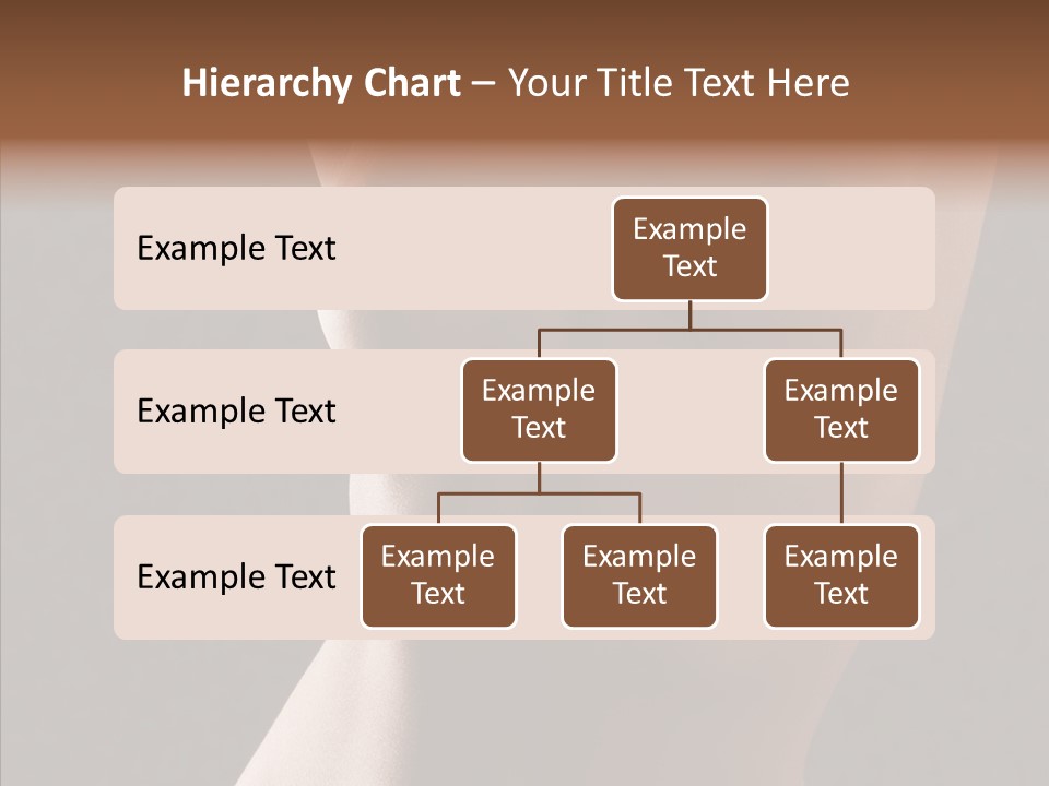 Woman Skin Anatomy PowerPoint Template