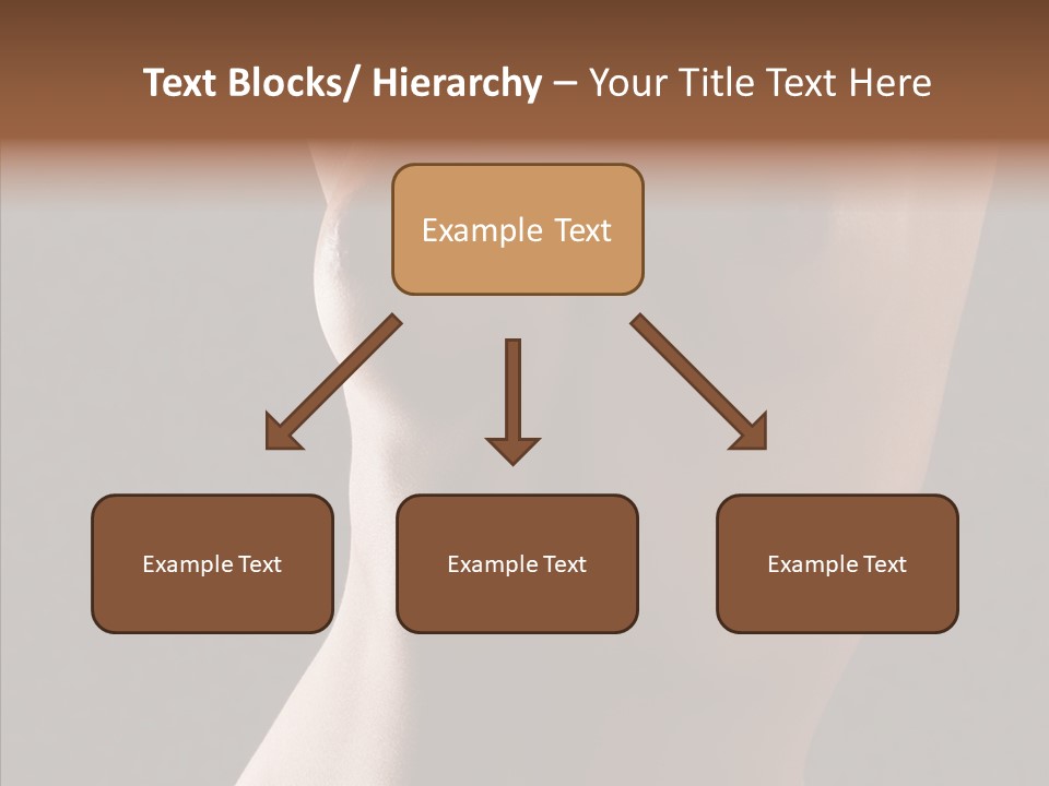 Woman Skin Anatomy PowerPoint Template