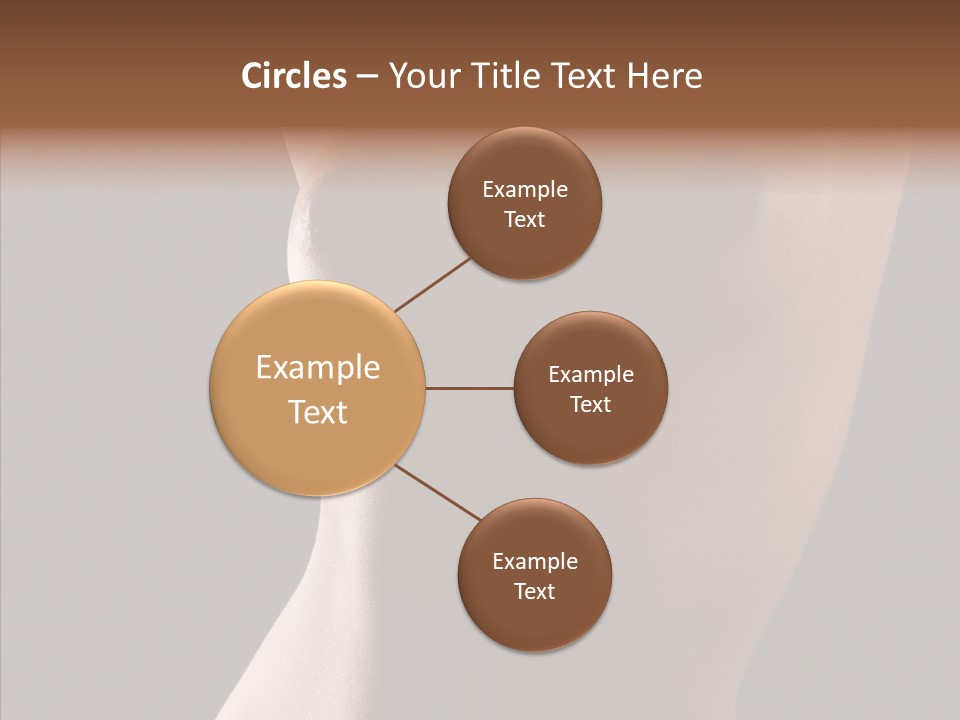Woman Skin Anatomy PowerPoint Template