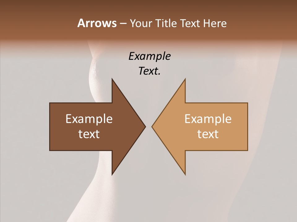 Woman Skin Anatomy PowerPoint Template