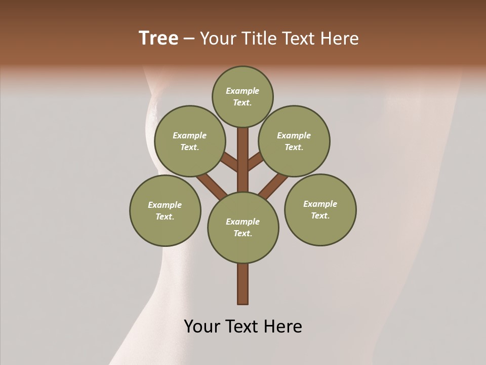 Woman Skin Anatomy PowerPoint Template