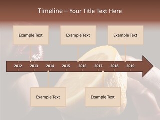 Red Woman Lips With Hand Holding Lemon PowerPoint Template