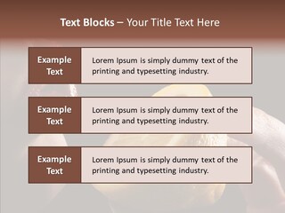 Red Woman Lips With Hand Holding Lemon PowerPoint Template